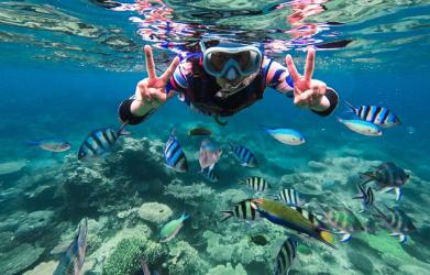 Panduan Liburan ke Karimun Jawa: Destinasi, Aktivitas, dan Tips Perjalanan