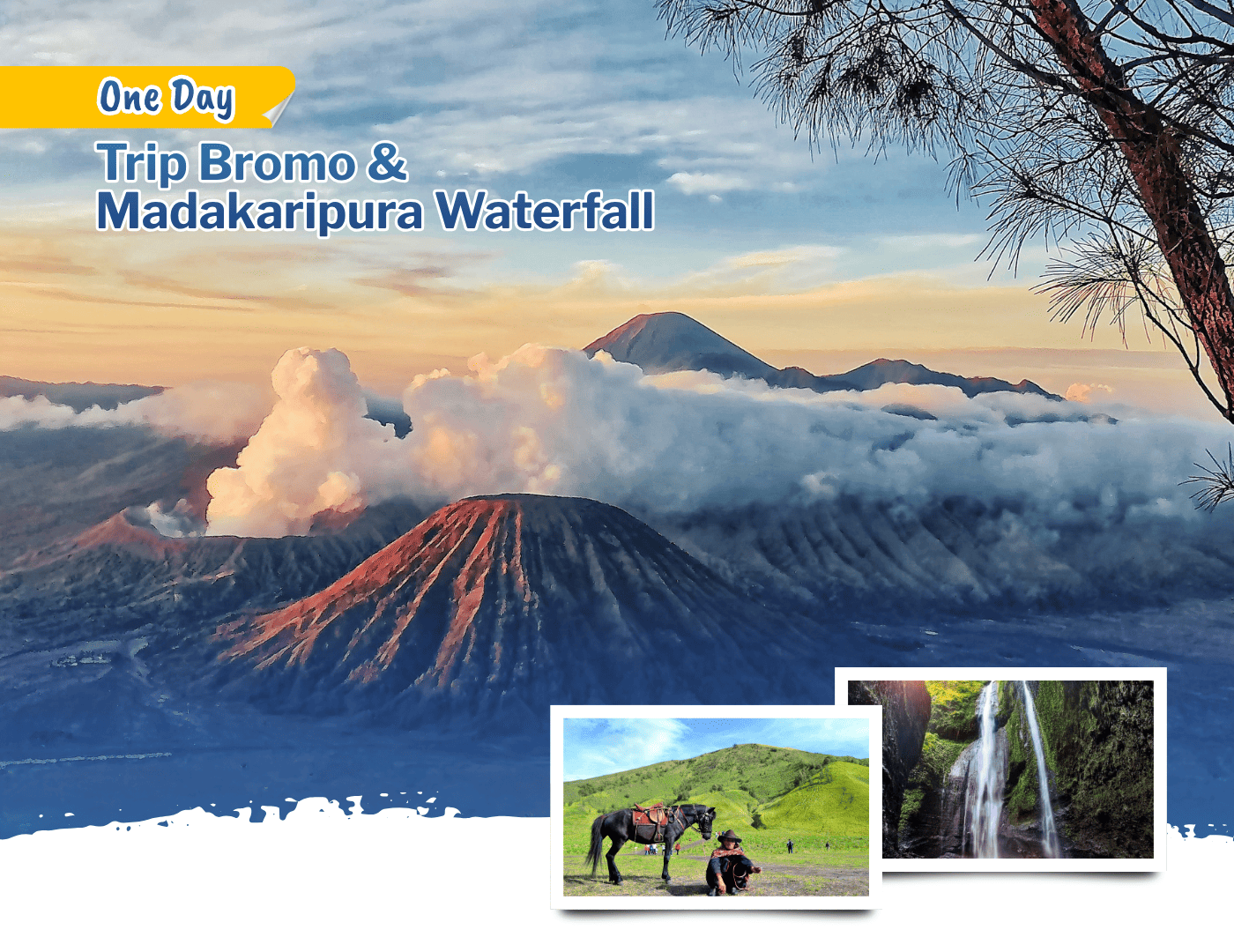 One Day Trip Bromo & Madakaripura Waterfall
