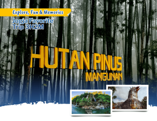 Jogja Favorite Trip 3H2M – Explore, Fun & Memories