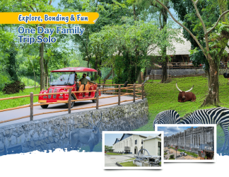 One Day Family Trip Solo – Explore, Fun & Memories