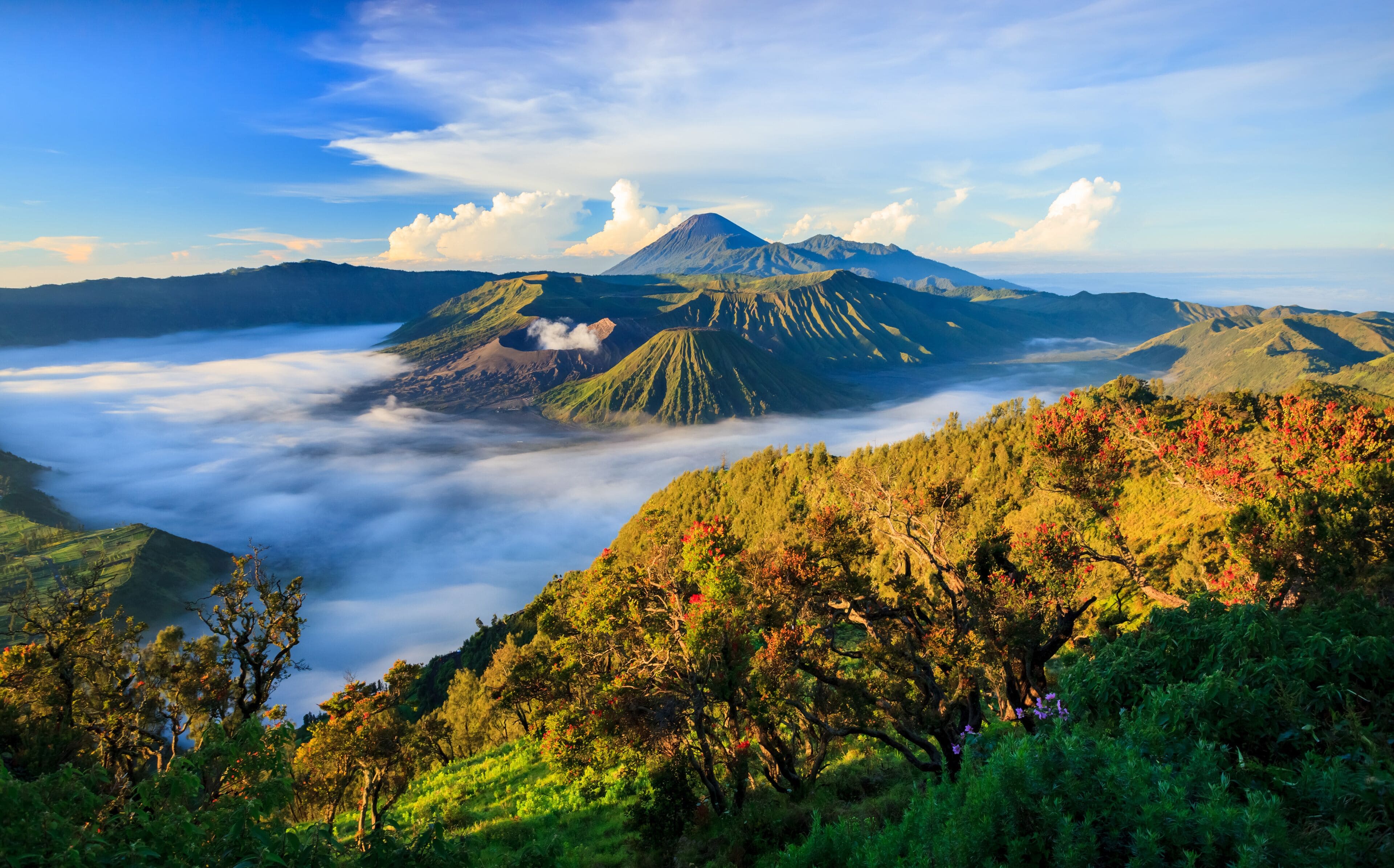 Malang & Bromo